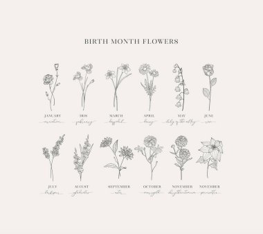Hand drawn Birth Flowers, Birth Month, Mother s Day, Birth Announcement, Baby Gift, T-shirt design, Print. clipart