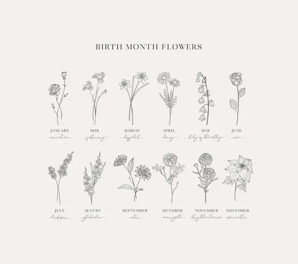 Hand Drawn Birth Flowers Birth Month Mother Day Birth Announcement Vector Graphics