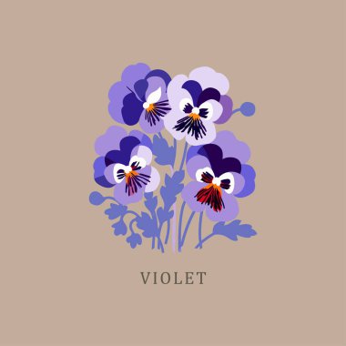 - Violet. Şubat ayı çiçeği. Doğum çiçekleri, klasik çiçek resimleri, retro çiçek pazarı posteri. İpek ekran basım, modası geçmiş uçuk psikedelik poster sanatı. Basit, 1960 'ların parlak, canlı, harika, bulutlu, düz formları. 