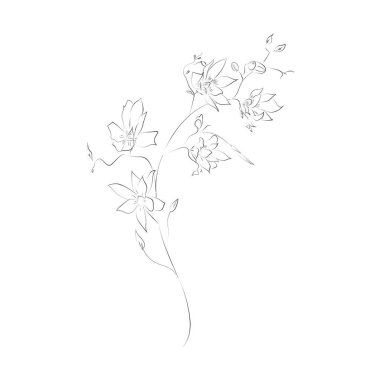 Line Drawing Botanical Wreath. Herbs and florals 01. Hand Drawn Flower Arrangement. Floral Decorative Design Element. Gentle Leaves, Feminine Logos. Line Drawn Clip Art.