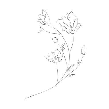 Line Drawing Botanical Wreath. Herbs and florals 03. Vector Illustration. Hand Drawn Flower Arrangement. Floral Decorative Design Element. Gentle Leaves, Feminine Logos. Line Drawn Clip Art.