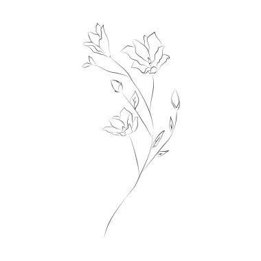 Line Drawing Botanical Wreath. Herbs and florals 06. Vector Illustration. Hand Drawn Flower Arrangement. Floral Decorative Design Element. Gentle Leaves, Feminine Logos. Line Drawn Clip Art.