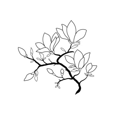Magnolia Hand Embroidery Pattern, Magnolia blossom coloring book element, Hand Drawn Magnolia vector illustration, Magnolia Flower Embroidery Pattern, Flower embroidery sticker,
