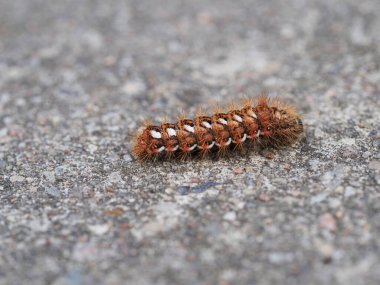 Taş zeminde bir hançer