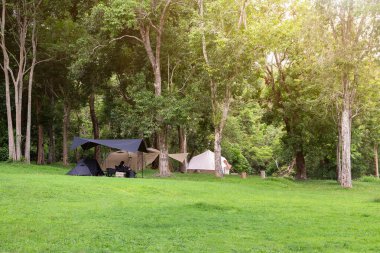 Güzel doğada kurulmuş güzel çadırlar. Ağaçların ve yeşil çimlerin arasında tatil ve eko-turizmi gevşetmek için