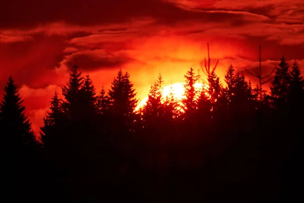 Red sunset and forest silhouettes.
