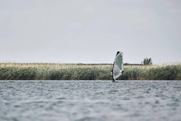 Rüzgârlı Bir Yaz Günü Gölde Rüzgar Sörfçüsü — Stok fotoğraf