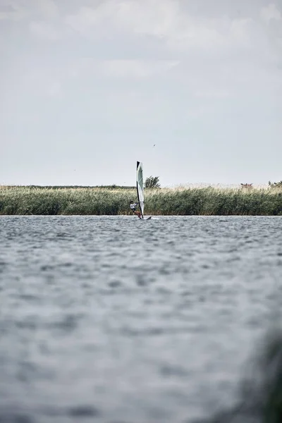 Rüzgârlı Bir Yaz Günü Gölde Rüzgar Sörfçüsü — Stok fotoğraf