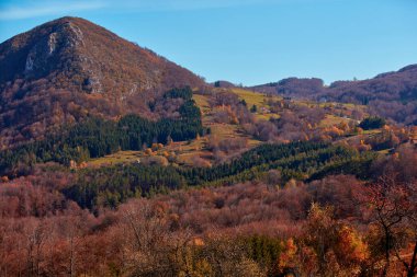 Autumn color trees and countryside landscape.