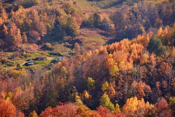 Outono Árvores Cor Paisagem Rural — Fotografia de Stock