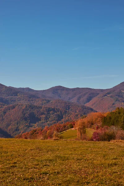 Podzimní Barevné Stromy Krajina — Stock fotografie