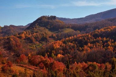 Autumn color trees and countryside landscape.