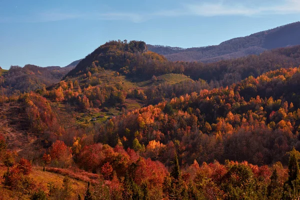 Autumn Color Trees Countryside Landscape — Stock fotografie