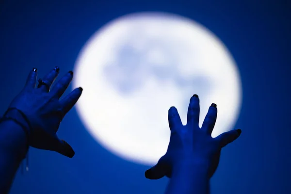 Наслаждаясь Ночным Небом Полной Луной Открытом Воздухе — стоковое фото