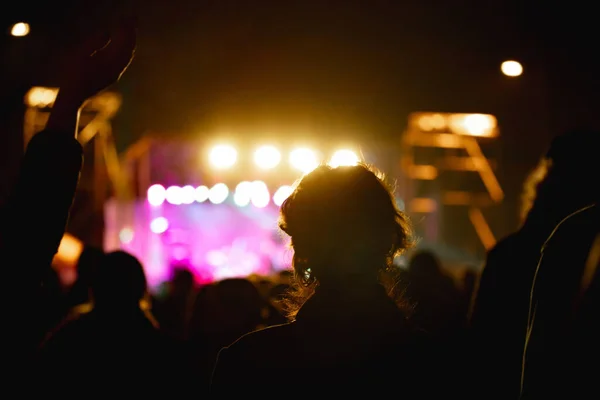 Silhouetten Von Konzertbesuchern Mit Bühnenbeleuchtung — Stockfoto
