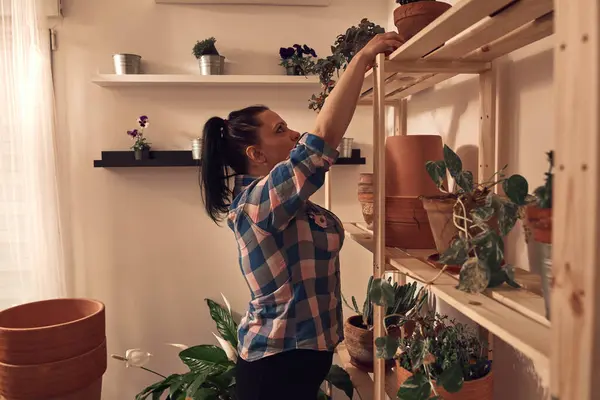 stock image Woman repotting and taking care of houseplants indoors.