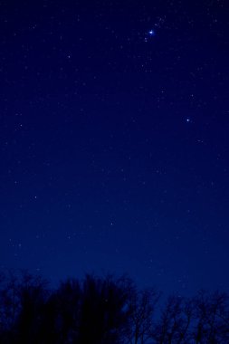 Orion takımyıldızı ve kırsal siluetler.