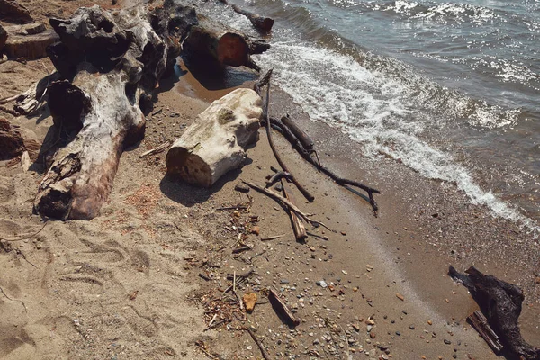 Fiume Spiaggia Sabbiosa Con Tronchi Albero — Foto Stock