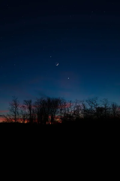 Planety Połączeniu Młodym Księżycem Nad Drzewnymi Sylwetkami Wsi — Zdjęcie stockowe