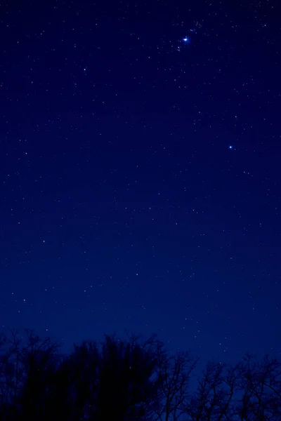 Orion Constellation Countryside Silhouettes — Stock Photo, Image
