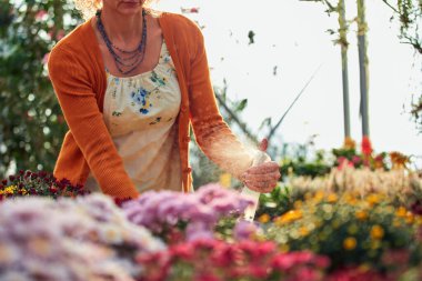 Çiçek yetiştirme yurdunda çalışan bir kadın, bitkilerle ilgileniyor ve onu satmak için hazırlıyor..