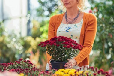 Çiçek yetiştirme yurdunda çalışan bir kadın, bitkilerle ilgileniyor ve onu satmak için hazırlıyor..