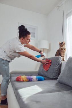 Kedi arkadaşıyla dairede kanepeyi temizleyen kadın..