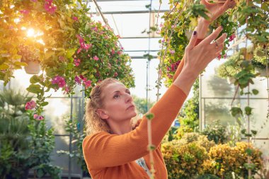İnşaat alanındaki bir kablo sisteminde elektrik işi..