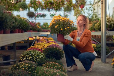 Çiçek yetiştirme yurdunda çalışan bir kadın, bitkilerle ilgileniyor ve onu satmak için hazırlıyor..