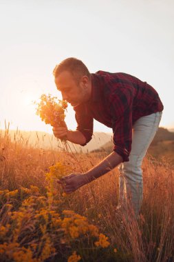 İnsan doğada çiçek toplar ve tutar..
