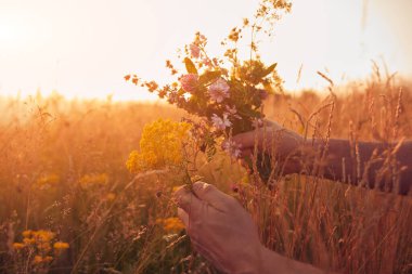 İnsan doğada çiçek toplar ve tutar..
