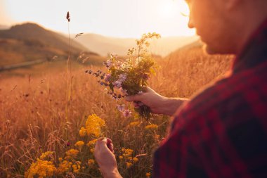 İnsan doğada çiçek toplar ve tutar..