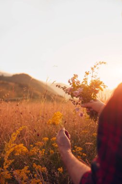 İnsan doğada çiçek toplar ve tutar..