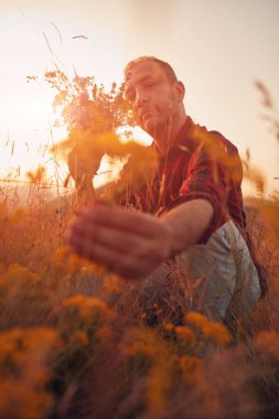 İnsan doğada çiçek toplar ve tutar..