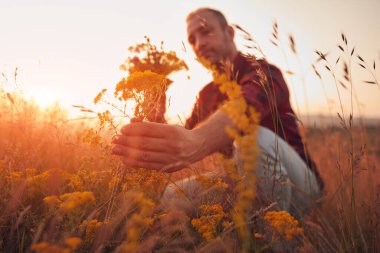 İnsan doğada çiçek toplar ve tutar..