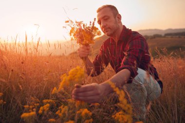 İnsan doğada çiçek toplar ve tutar..