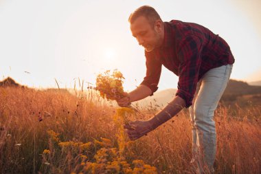 İnsan doğada çiçek toplar ve tutar..