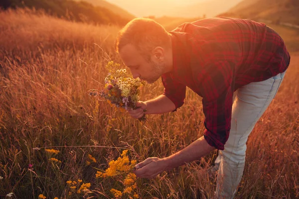 İnsan doğada çiçek toplar ve tutar..