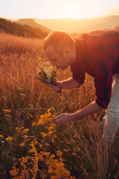 İnsan doğada çiçek toplar ve tutar..