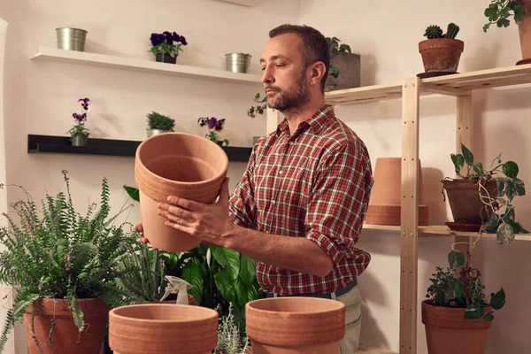 Man Repotting Taking Care Houseplants Indoors Royalty Free Stock Images
