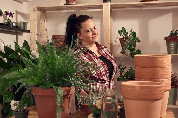 Woman Repotting Taking Care Houseplants Indoors Stock Photo