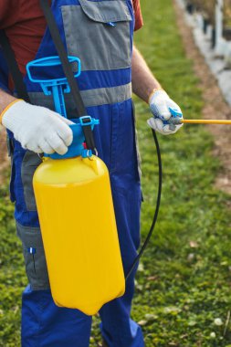 Baharda, çiçek açmadan önce yabanmersini tarlasına böcek ilacı, böcek ilacı ve bitki öldürücü sprey kullanan çiftçi..