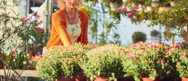 Çiçek yetiştirme yurdunda çalışan bir kadın, bitkilerle ilgileniyor ve onu satmak için hazırlıyor..