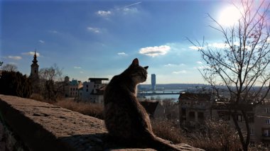 View from Kalemegdan fortress of Belgrade rivers and cityscape, Serbia. clipart