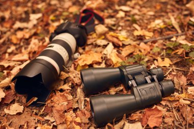 Dürbün ve kamera kuşları ve doğadaki diğer gözlemci hayvanları izlemek için..