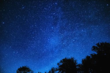 Samanyolu yıldızları ve kırsal ağaç siluetleri.
