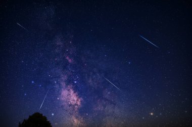 Meteor yağmuru izleri ve kırsal ağaç siluetleri olan Samanyolu yıldızları.