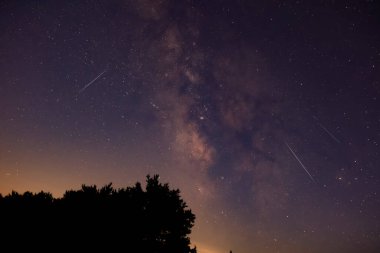 Meteor yağmuru izleri ve kırsal siluetleri olan Samanyolu yıldızları.