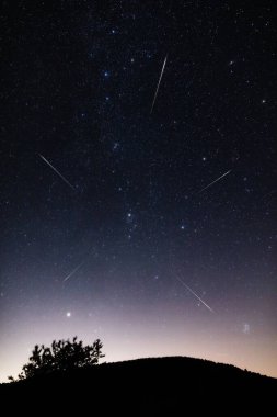 Meteor yağmuru izleri ve kırsal siluetleri olan Samanyolu yıldızları.