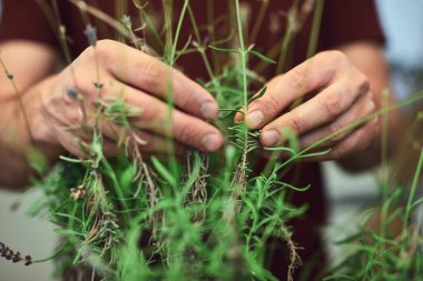 Evdeki terasta bitkilerle ilgilenen adam..